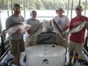 (07/11/2015) - Nice Striped Bass